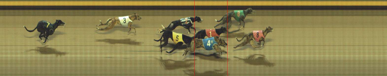 Race result finish photo